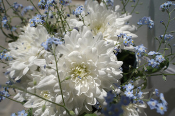 Wall Mural - Delicate white and blue flowers