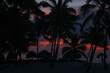 wschód słońca na karaibskiej plaży na Dominikanie w tle z palmami i z chmurami