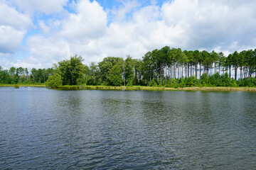 Lake view during summer near Starkville, MS