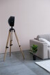 © Artsiom Mashara - Lamp on a tripod against the background of a sofa and a pot with ficus