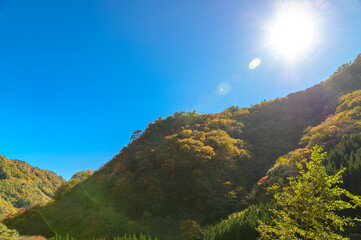 日本の秘境「五家荘・梅の木轟公園・樅木河合場線からの紅葉風景」標高1300～1700ｍ Japan's unexplored region 