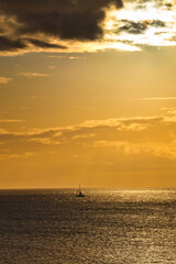 Wall Mural - Sailboat on the ocean during sunset 