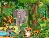 Fototapeta Pokój dzieciecy - Wild animal cartoon character in the forest scene