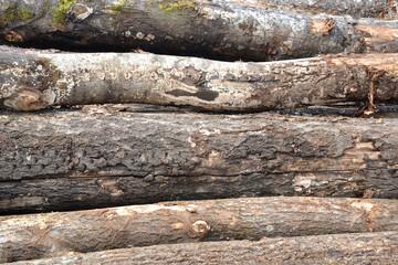 Natural wooden background with the texture of logs.