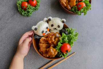 Homemade Japanese cuisine / Panda Onigiri with Vegan Curry / Fun to make and delicious to eat healthy meal, ideal for light eater and weight watcher