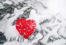 Red Heart On A Snow Tree