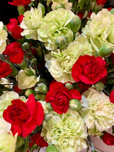 Bouquet Of White And Red Carnations, Close Up
