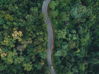 Green road up the mountain in the rainy season The road in the forest