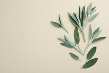 Fresh Green Sage Leaves On Light Background, Flat Lay. Space For Text