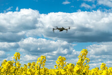 Drone In Blue Sky With Clouds Above Yellow Canola Field. Farmer Studies Crops From The Air. New Agriculture Technology With Aircraft Help. Unmanned Copter