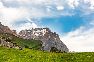 Wall Mural - Fragments of rocks on a green meadow in the highlands