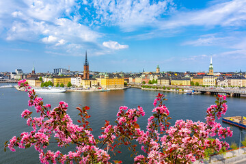 Canvas Print - Stockholm cityscape in spring, Sweden