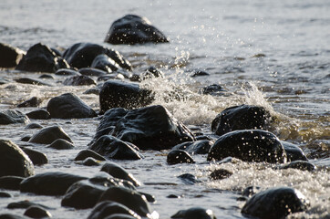 Wall Mural - Stones on the seashore by the Baltic Sea.