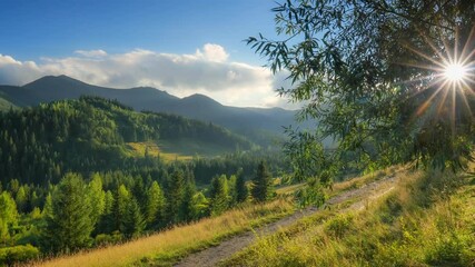 Aufkleber - Summer green trees in sunset light. Village dirt road goes into the distance. Gorgeous green mountains at sunset. Setting sun shines through the foliage of the tree. Gimbal HDR 4K