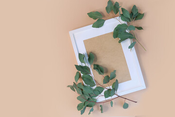 Wall Mural - greeting card mockup. Eucalyptus populus branch on a beige background. different paper texturescongratulation. invitation. place for text. flat lay