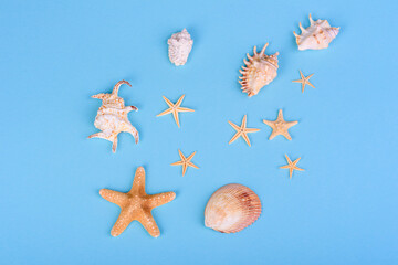 Beach accessories: glasses and hat with shells and sea stars on a colored background