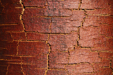 dark brown birch bark. close-up. background. texture.