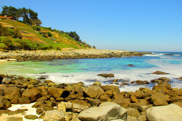 beach in the summer