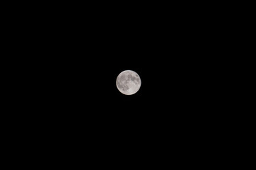 Wall Mural - Super moon in dark sky. Full moon at night in center of photo.