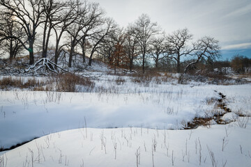 Wall Mural - A rare fen environment fed by 50 degree spring water remains open during winter when the landscape is under a blanket of snow.