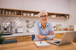 © bnenin - Portrait of a beautiful senior businesswoman working at home.