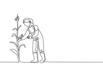 Wall Mural - Continuous one line drawing young female farmer picking the corn on the tree. Professional farmer. Farming challenge minimalist concept. Single line draw design vector illustration.