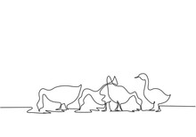 Single One Line Drawing Of The Geese Are Being Fed To Be Healthy And Produce The Best Eggs And Meat. Farming Challenge Minimal Concept. Modern Continuous Line Draw Design Graphic Vector Illustration.