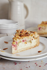 Wall Mural - Closeup shot of delicious rhubarb cheese pie on a plate on a white table