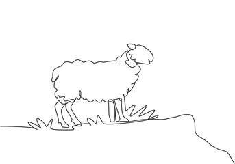 Wall Mural - Single continuous line drawing of the sheep were standing on the edge of the meadow looking for food. Successful farming minimalism concept. Dynamic one line draw graphic design vector illustration.