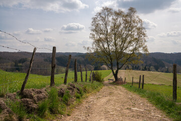 Canvas Print - Closeup shot of long distance hiking trail Bergischer Panoramasteig in Bergisches Land Germany