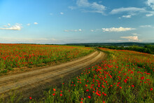 Dirt Road Among Fields With Red Poppy Flowers.