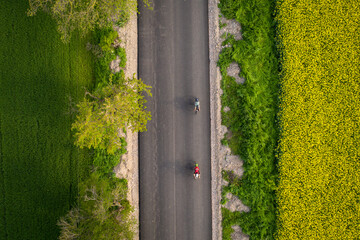 Drone shot of two cyclist and their shadows projecting on the road at sunset