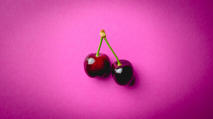 Wall Mural - isolated ripe cherries pink background. top view. fresh red cherries with sprig. creative bright pink background. Food concept