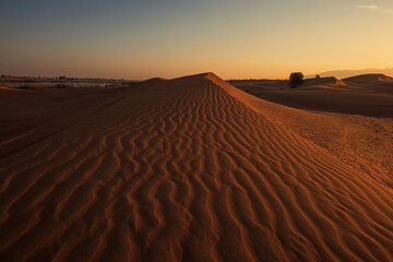 Wall Mural - Desert sand pattern and sand doom during the sunset time