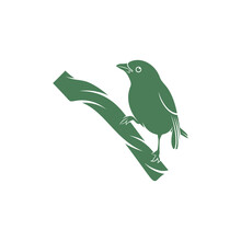 Saira Amarela Bird Vector Illustration. Saira Amarela Bird Logo Design Concept Template. Creative Symbol