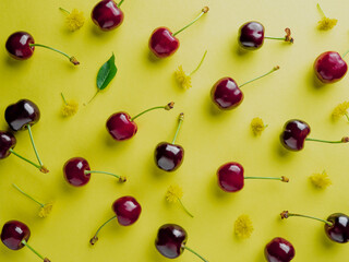 Wall Mural - ripe cherries on yellow background top view. Pattern of fresh red  cherries with sprig . Cherry berries and yellow flowers laid on yellow background. Summer Creative layout. flat lay