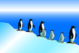 pingouin, manchot, banquise