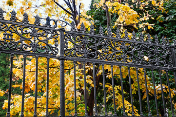 Autumn in the city. Antique fence with elements of decor of the times