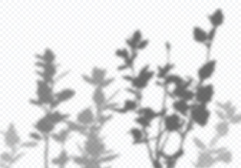 Aufkleber - Vector Transparent Shadow of Tree Branches with Leaves. Decorative Design Element for Presentations and Mockups. Creative Overlay Effect