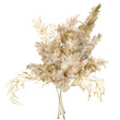 Watercolor tropical bouquet of dry and gold pampas grass. Hand painted exotic card of plant isolated on white background. Floral illustration for design, print, fabric or background.