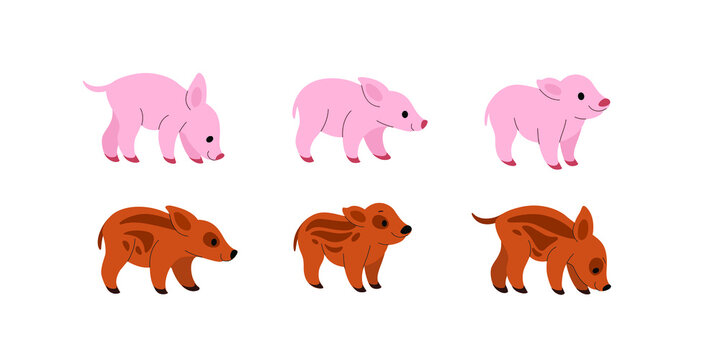 Cartoon boar and pig sketch line icon. Сute animals icons set. Childish print for nursery, kids apparel, poster, postcard, pattern.