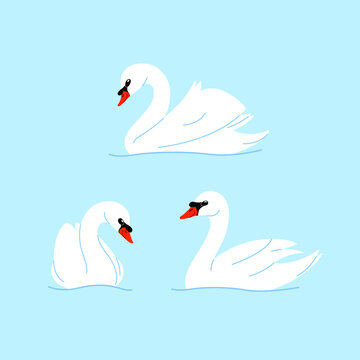 Cartoon swan. Flat illustration of bird. Childish print for nursery, kids apparel, poster, postcard, pattern.