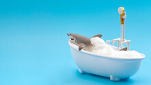 Practical Joke, Underwater Scare And Surprise Attack Concept With Humorous Image Of A Shark In A Bathtub Surrounded By Soap Suds Isolated On Blue Background With Copy Space