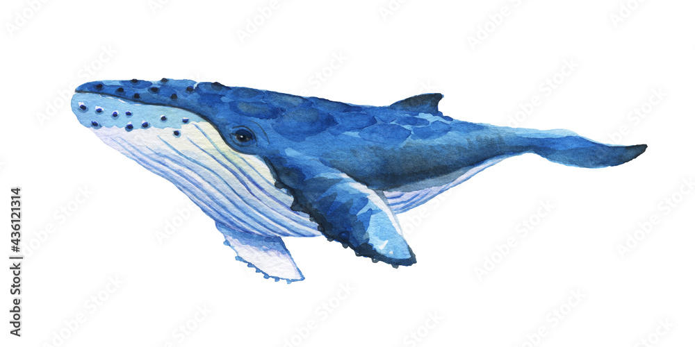 油彩画 ザトウクジラ クジラアート、ザトウクジラの絵画、虹色のクジラの版画、ハワイの