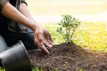 The young man's hands are planting young seedlings on fertile ground, taking care of growing plants. World environment day concept, protecting nature