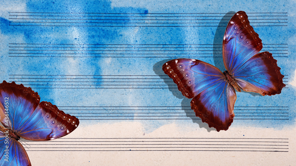 Morpho blue butterflies and notes. Butterfly melody. Photo of old music ...
