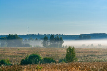 misty morning in the field