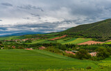 Fototapeta Pokój dzieciecy - Spectacular fields in the spring time in La Rioja