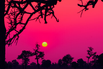 Wall Mural - sunset, sunrise sky morning bright, beautiful summer