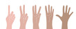 © unimaginary - Counting fingers on white background. Vector set of hands with counts on the fingers from one to five.